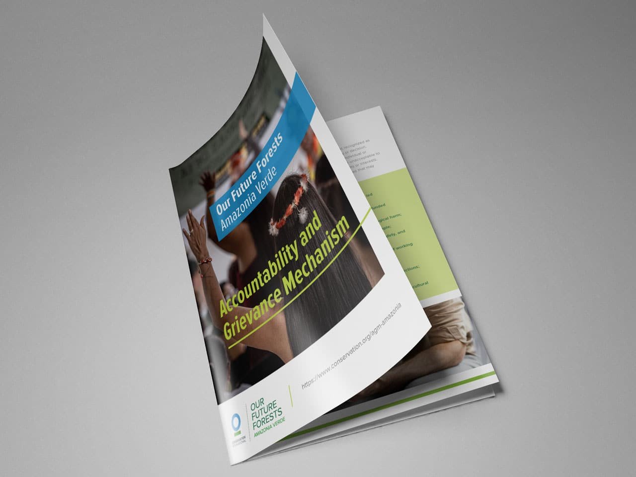 Accountability and Grievance Mechanism